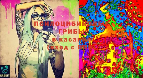 2c-b Бронницы