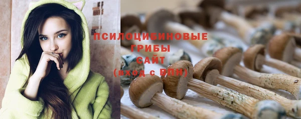 apvp Бородино