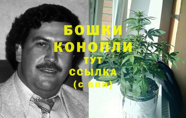 apvp Бородино