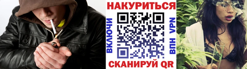как найти закладки  МЕГА как войти  Бошки марихуана THC 21%  Моздок 